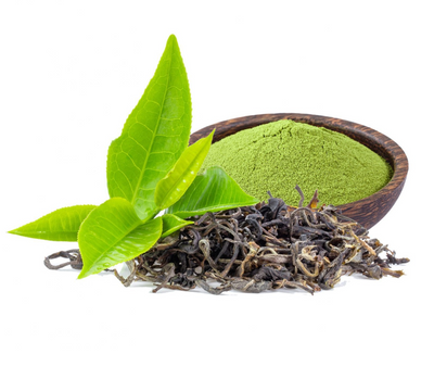 Green Tea Extract